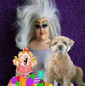 Meet your Posher, Princess